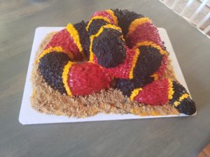 Coral Snake Birthday Cake
